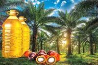 El Nino risk for planters
