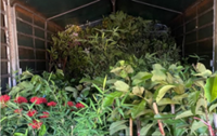 GOF seizes smuggled booze and fruit tree saplings worth over RM400,000