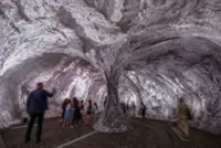 Monumental cave art on Paris' oldest bridge finally opens to visitors