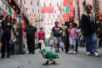Soccer-Merlin the duck: From Mexico City streets to World Cup stardom