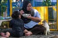 Jakarta battles cat-astrophic stray population as nearly 1.5 million felines roam the streets