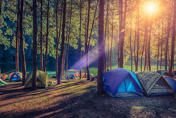 Death of family of four while camping caused by carbon monoxide poisoning, say police