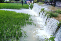 China’s unusually heavy downpours fill dams and put crops at risk