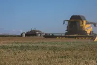 Russian attacks could cut Ukraine grain exports by a third