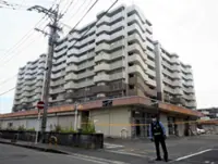 Mother stabbed to death next to room where three children were sleeping in Fukuoka, Japan