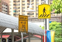 Culture of safety also needs to be instilled to make school zones safer