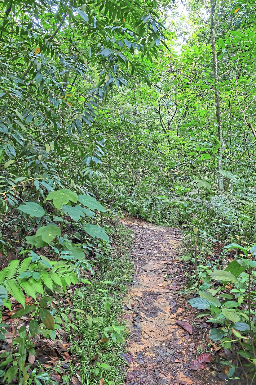 The new hiking guideline will incorporate feedback and information from stakeholders. - Filepic