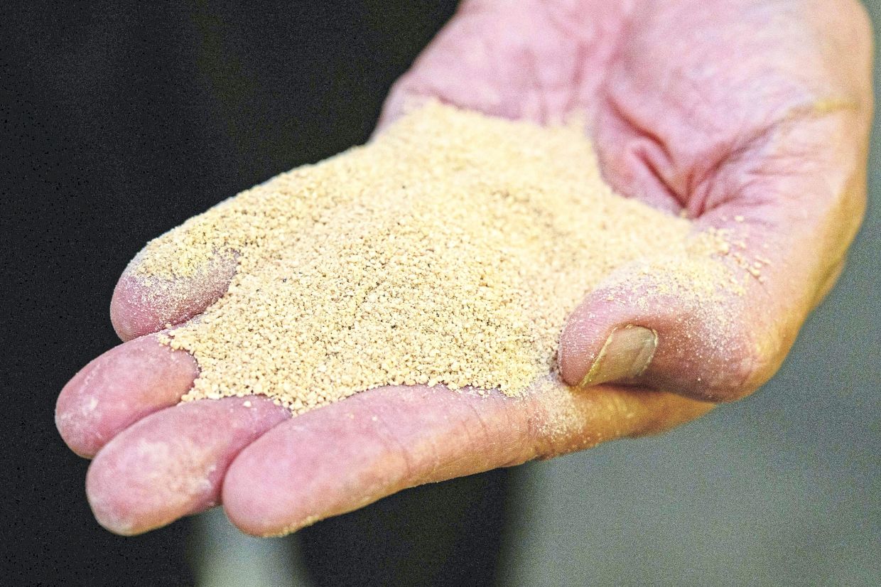 Wichien holding a sample of Soil Digest, designed to eliminate the need for the burning of rice stubble, at his factory in Samut Sakhon, in this file photo from March 10, 2026. — AFP 
