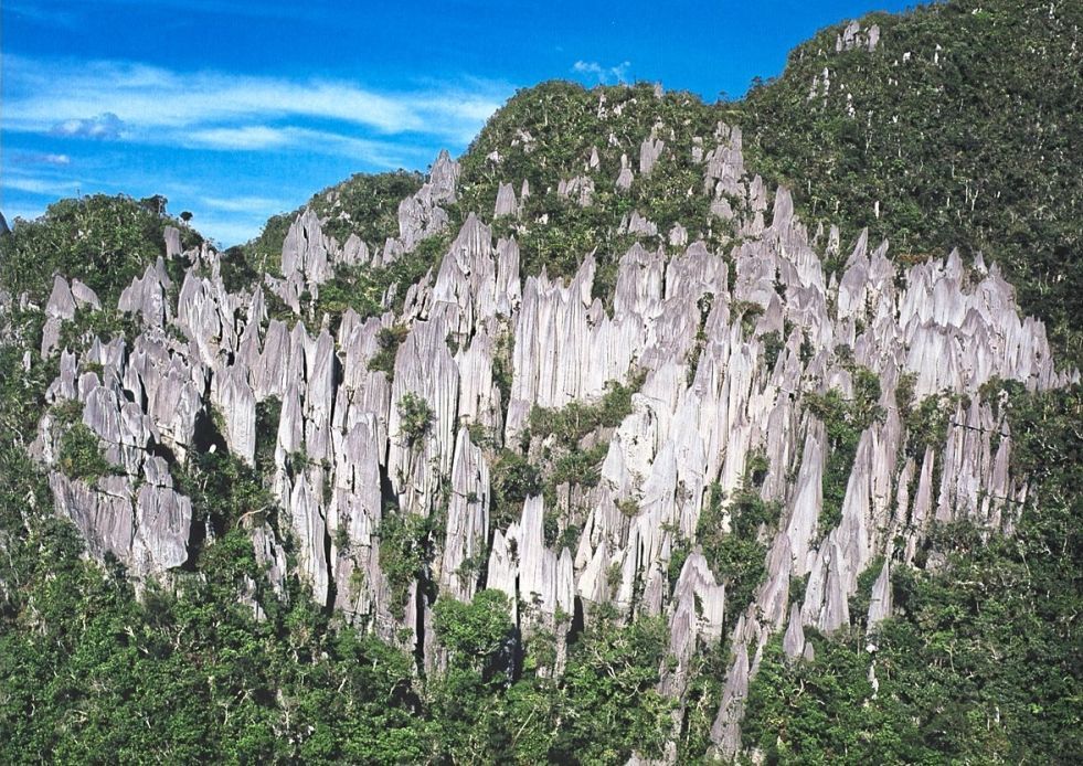 Carved by time: Gunung Mulu National Park is home to the Pinnacles. — Photo courtesy of Sarawak Tourism Board
