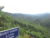 Forestry group to come up with hiking guideline