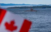 Canada’s US$43bil submarine choice: S. Korean or German make