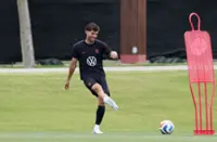 Soccer-Pulisic a doubt for US match against Australia