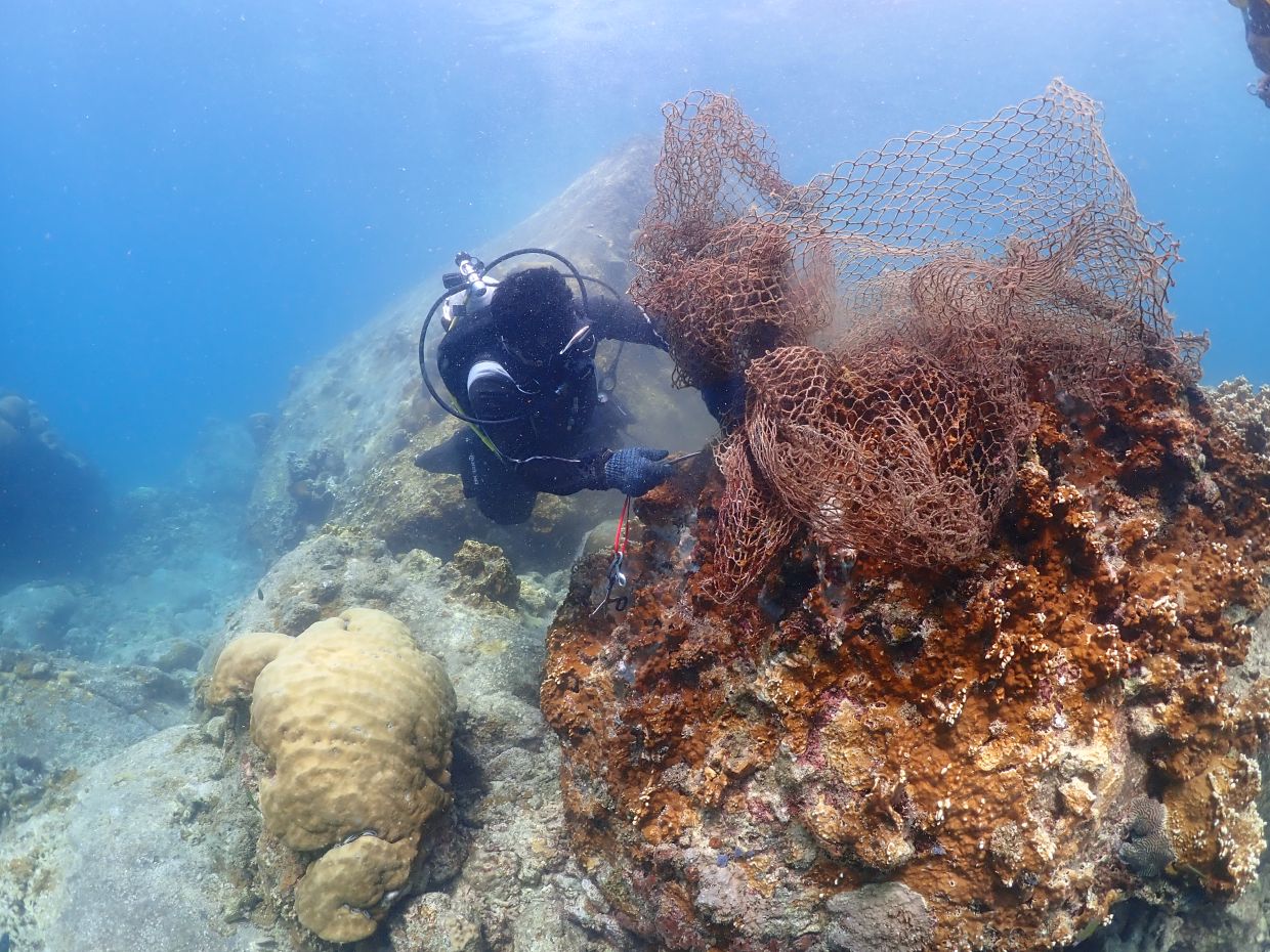Group calls for compulsory marine conservation briefings for divers in Sabah
