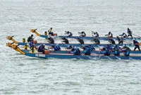 Dragon Ark B rules the bay