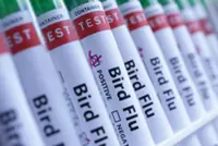 Australia detects first case of contagious H5 bird flu
