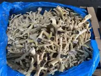 Two Vietnamese women charged in chicken feet smuggling worth US$13mil