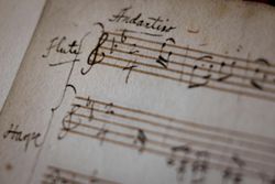 'Major discovery': French curator unearths rare Mozart manuscript