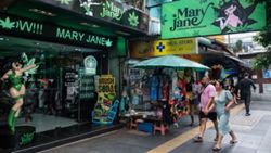 Cannabis policy reviewed in Thailand amid widespread sales and legal loopholes