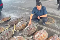 Cops rescue 21 sea turtles
