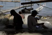 Laws and diver awareness key to protecting marine life