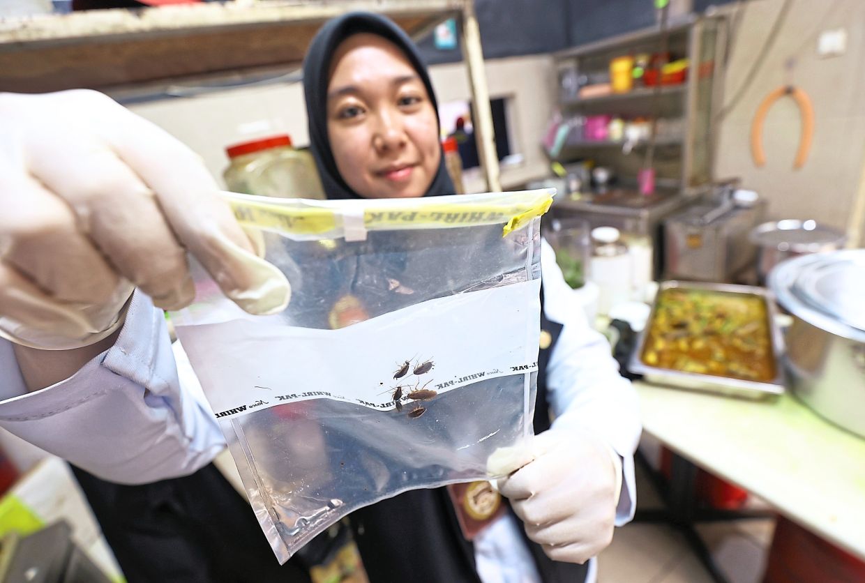 A health officer showing pests detected in a restaurant during the operation.