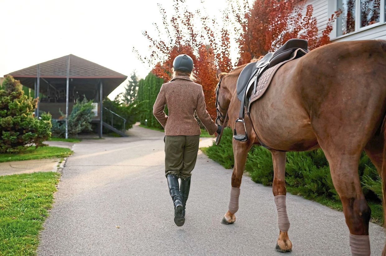 Through riding, grooming and groundwork activities, equine-assisted therapy encourages trust personal growth. — 123rf