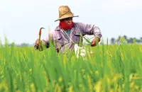El Nino may delay planting