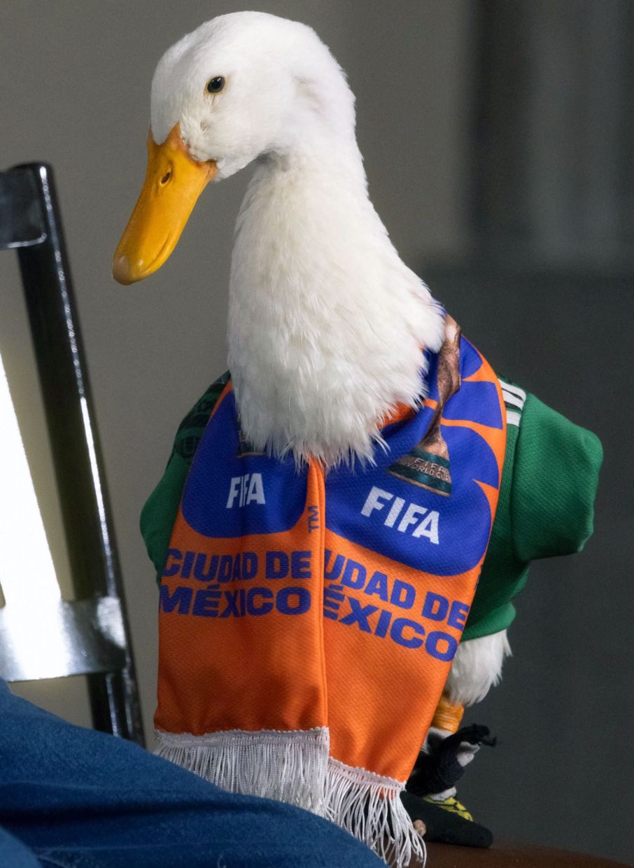 Photo: AFP