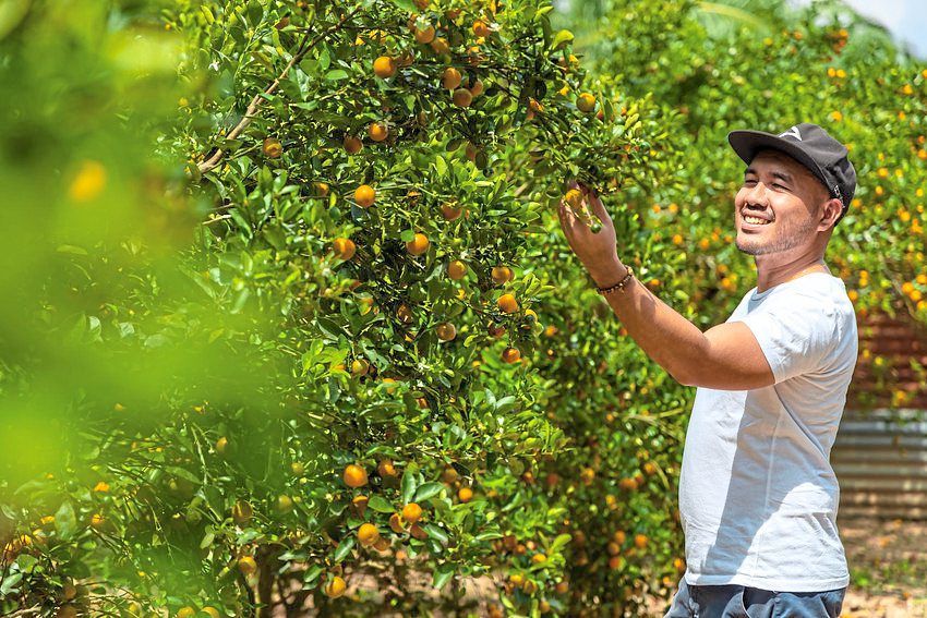 Some farms in Europe let guests sample and pick fruits, a great activity with family and friends.