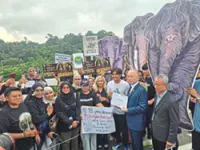 Campaign to bring elephants home reaches Parliament
