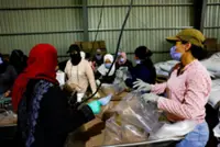 Syria has made no progress on Sweida reintegration plan, UN says