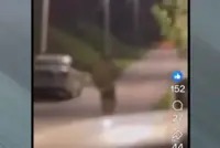 QuickCheck: Was an actual soldier seen patrolling a road in Kepong with a rifle?