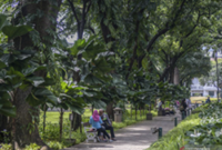 Jakartans look for space to breathe in concrete city