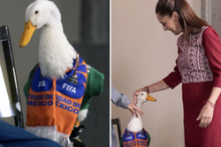Merlin the World Cup viral sensation duck meets Mexico's president