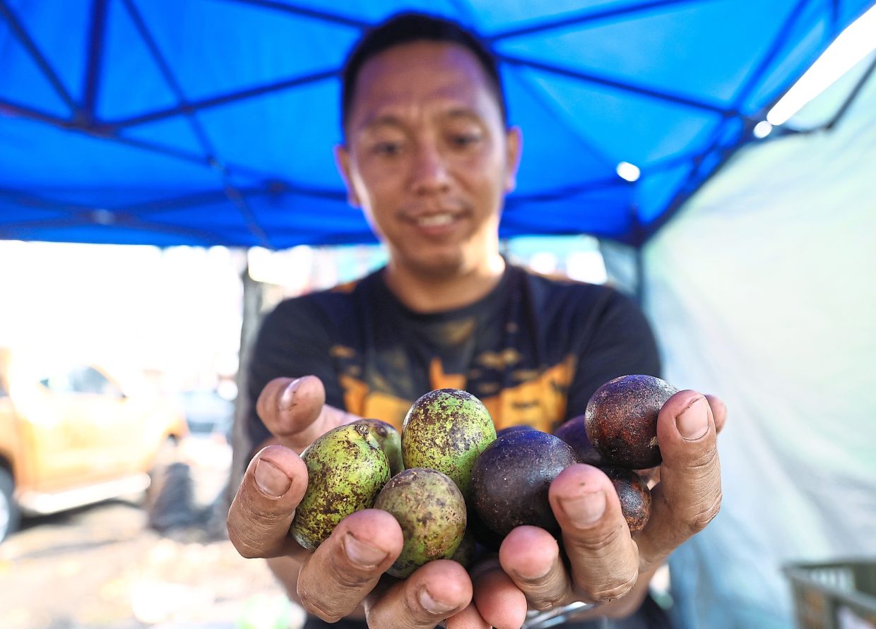 Kasai, a close relative of lychee, from Sarikei, Sarawak.