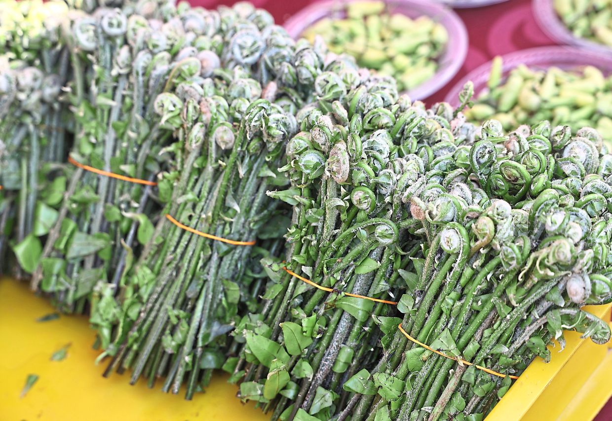 Also available is ‘paku keruk’ – a much-loved vegetable.