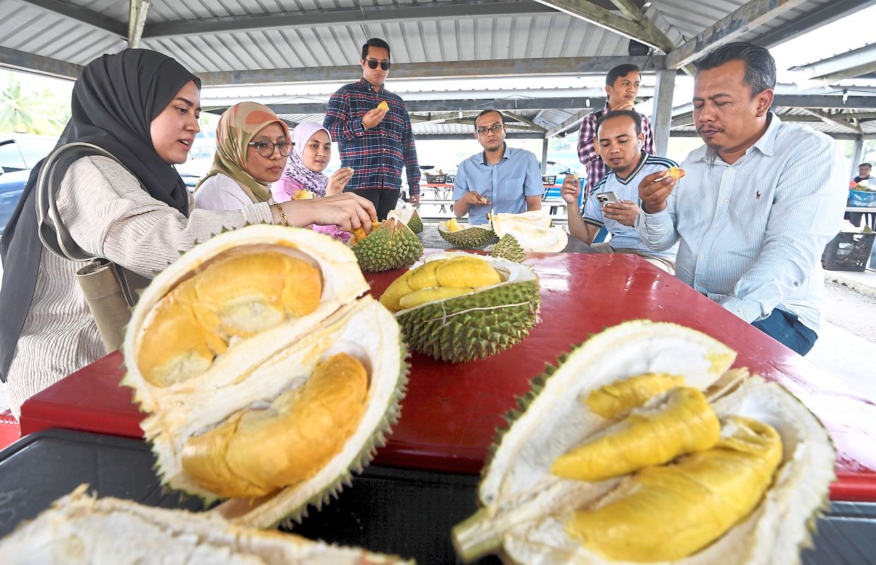 Durian windfall to last a season