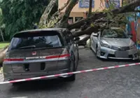 Two cars damaged after tree falls at Bangsar school
