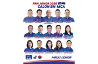 Lawyers, businessmen among MCA’s candidates in Johor polls