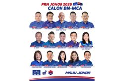 Lawyers, businessmen among MCA’s candidates in Johor polls
