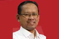 Johor’s mixed bag of candidates