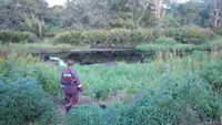 Search underway in Brunei for missing fisherman believed attacked by crocodile