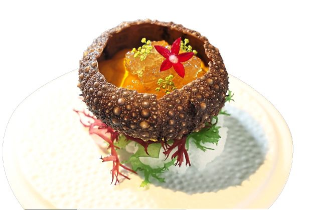 Carrot mousse with whipped cream, fresh uni and beef consomme jelly.