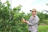 Meeting EU deforestation rules with unified farm data system