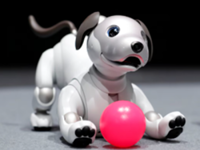 Sony discontinues Japan sales of robot puppy 'aibo'
