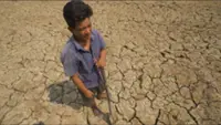 Hedge fund targets US$500mil for El Niño crop risk trade