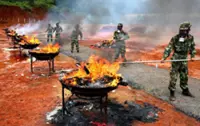 China seizes over four tonnes of drugs in border anti-narcotics enforcement