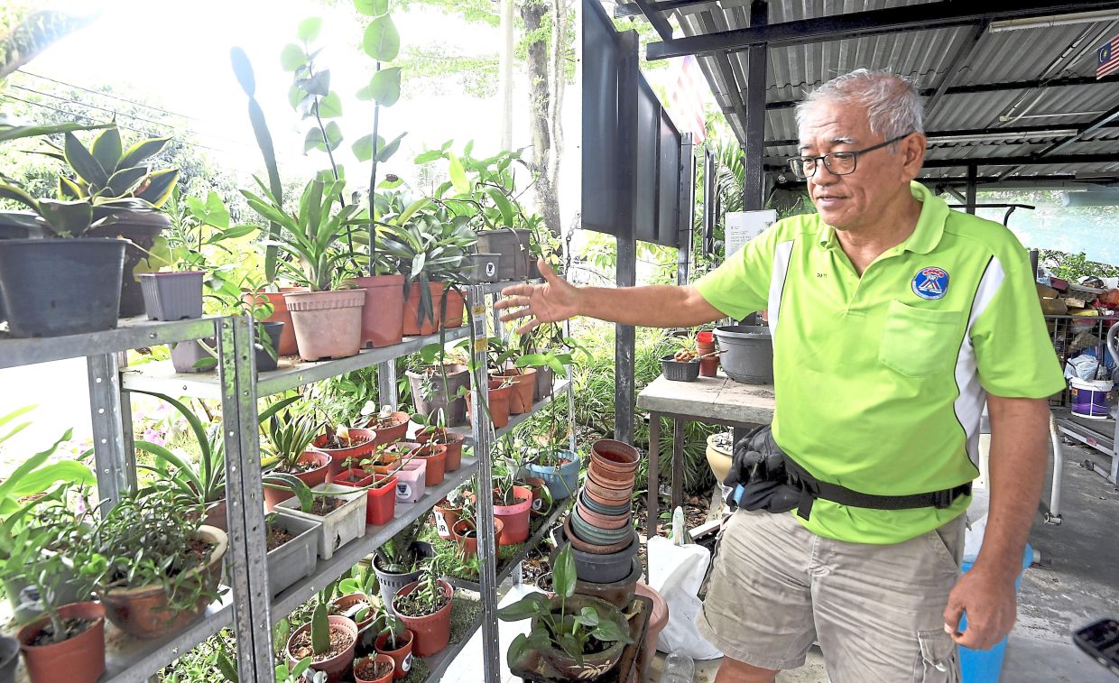 Tan showing the plant adoption corner where visitors are encouraged to take plants home and care for them. 