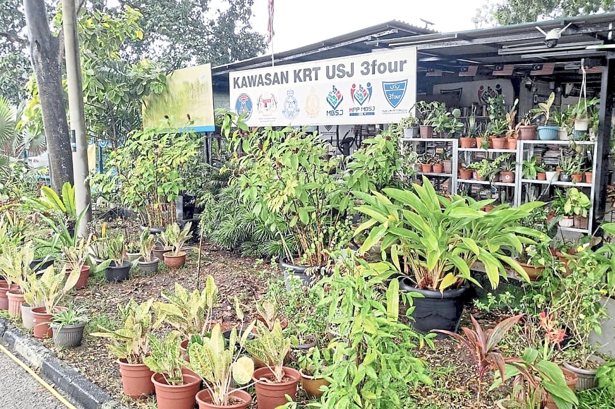 The USJ 3/4 community garden in Subang Jaya is a thriving green space catering to the well-being of residents as well as stingless bees. 
