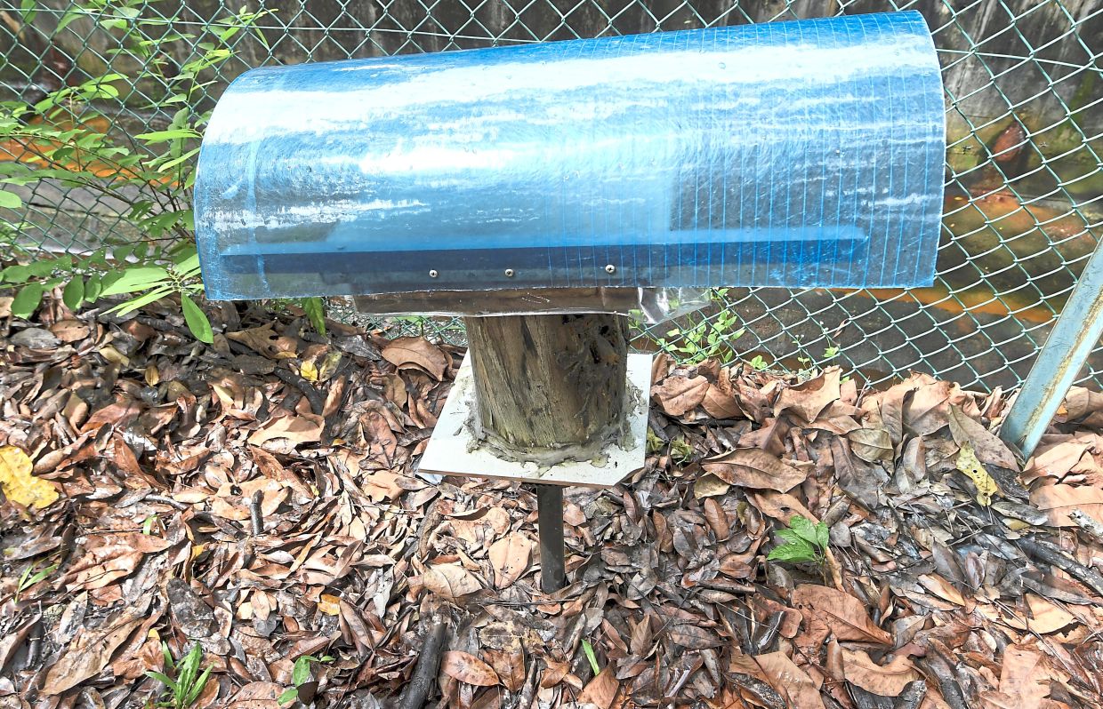 Kelulut care goes beyond honey harvests